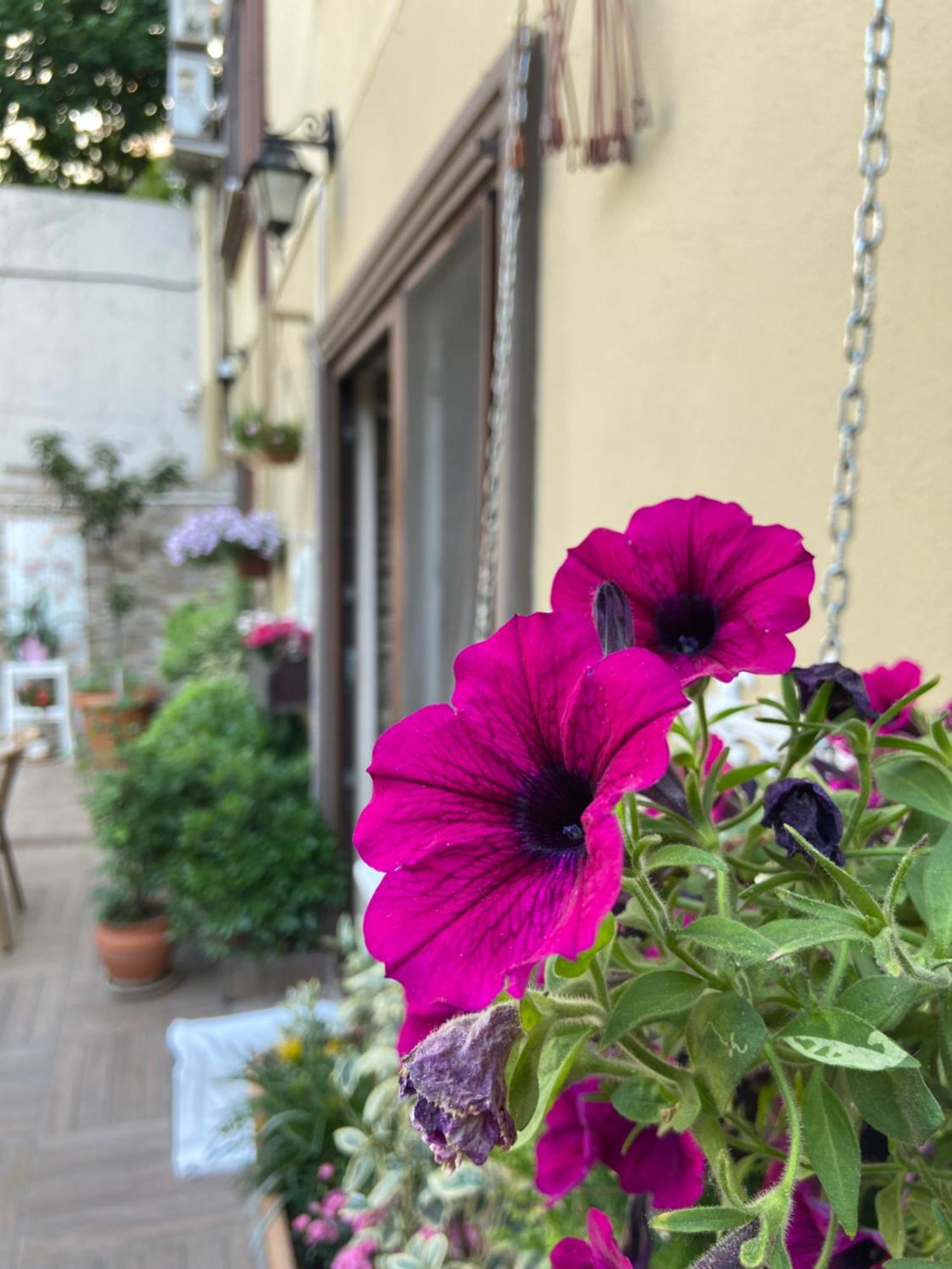 Apartment Araz