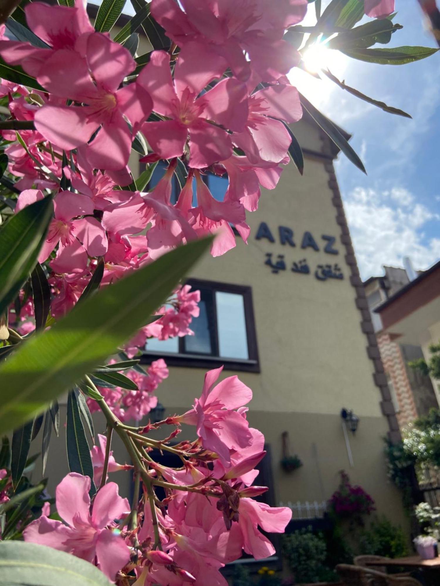 Araz Bursa